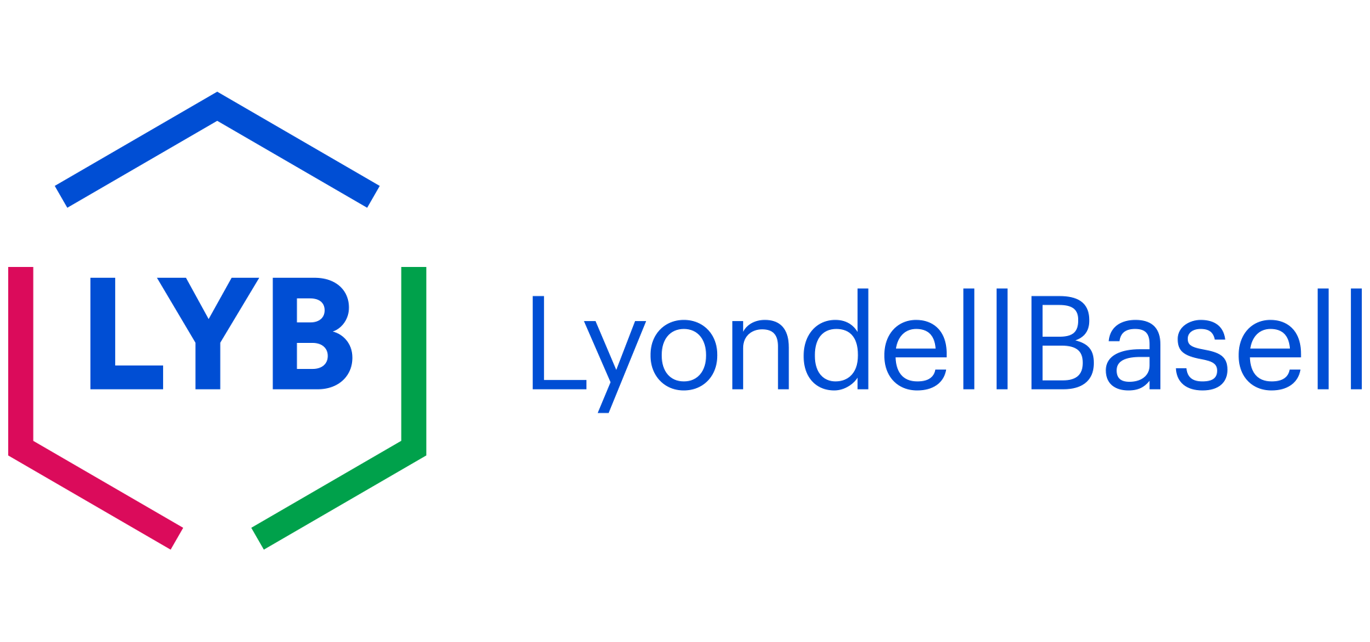 LYB logo2